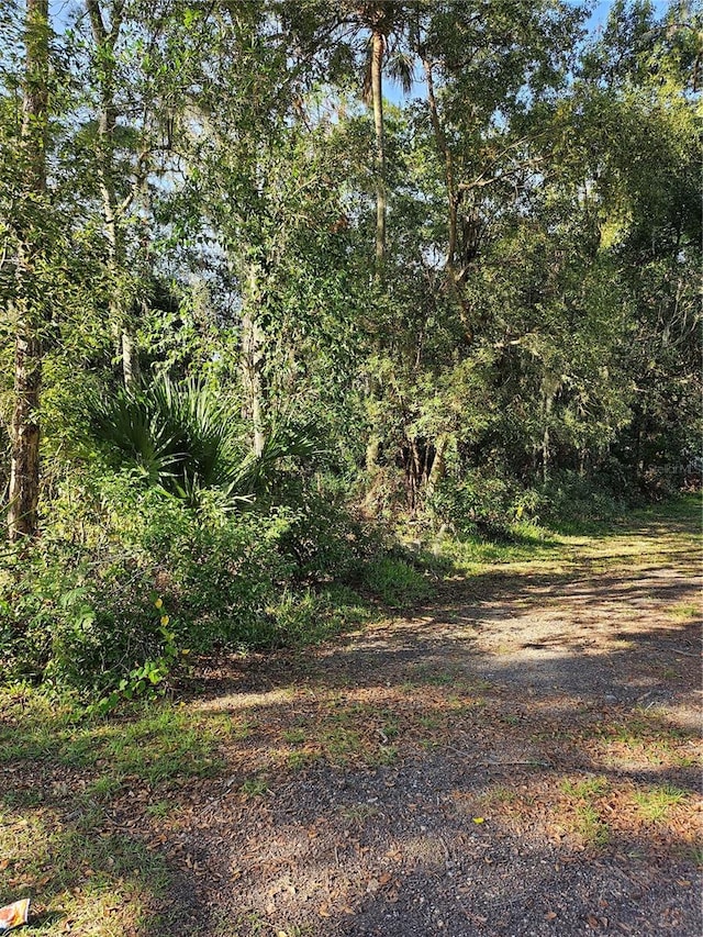 908 NE 17th Ter, Gainesville FL, 32641 land for sale