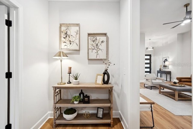 hall with hardwood / wood-style flooring