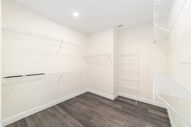 walk in closet featuring dark hardwood / wood-style floors