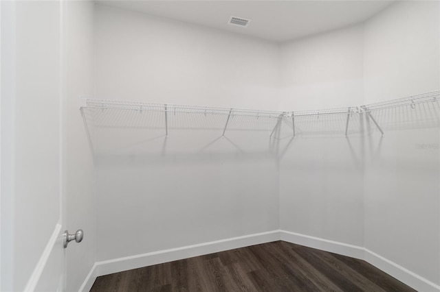 spacious closet with wood-type flooring