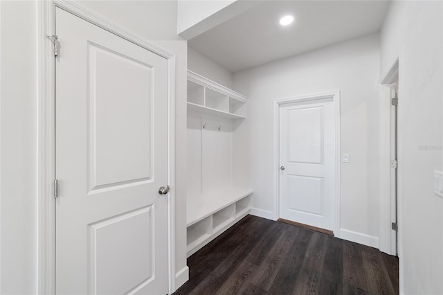 mudroom with dark wood-type flooring