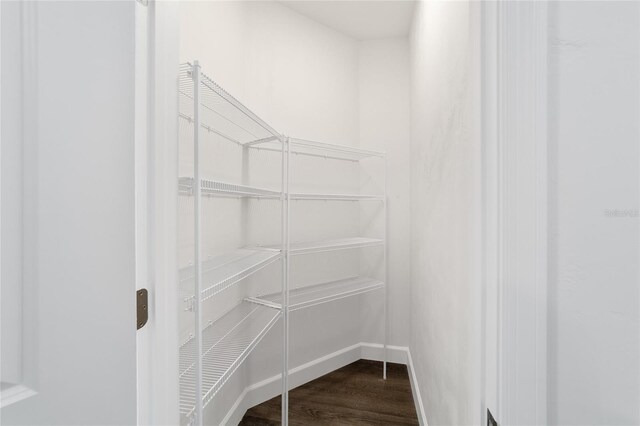 walk in closet with wood-type flooring