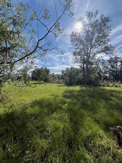 16604 NW State Road 45, High Springs, FL 32643 - photo 11