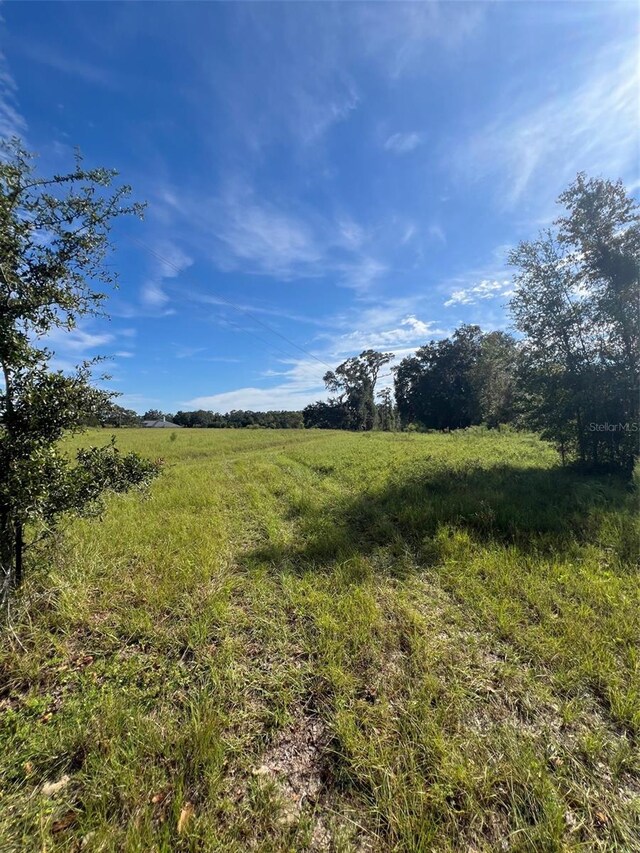 16604 NW State Road 45, High Springs, FL 32643 - photo 12