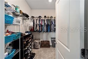 walk in closet featuring light carpet