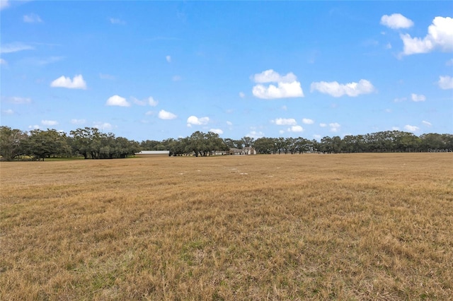 view of local wilderness with a rural view