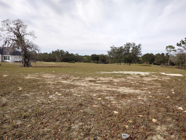 6400 SW 180th Cir Lot 29, Dunnellon, FL 34432 - photo 3