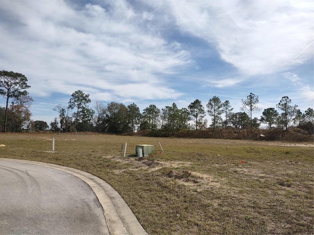 6400 SW 180th Cir Lot 29, Dunnellon, FL 34432 - photo 4