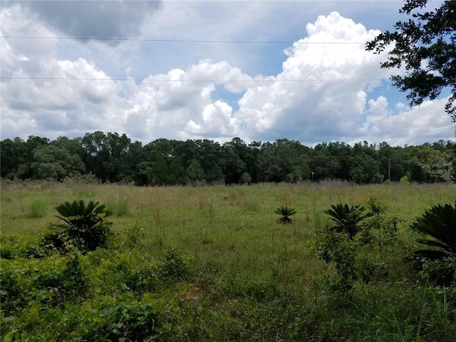 SW County Road 242a, Lake City, FL 32056 - photo 2