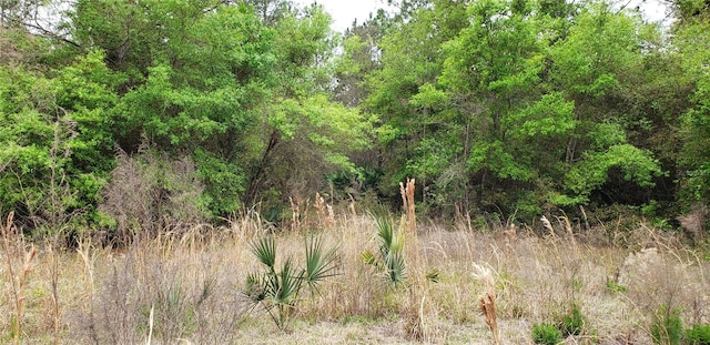 SW County Road 242a, Lake City, FL 32056 - photo 4
