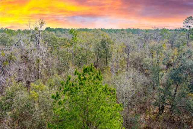 NE Edgewater Cir, Lee FL, 32059 land for sale