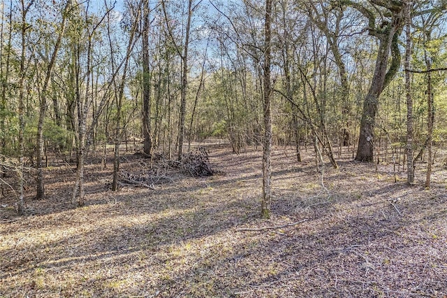 Sw 17 Street, Bell, FL 32619