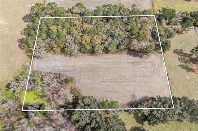 NW County Road 239th Rd, Alachua FL, 32615 land for sale