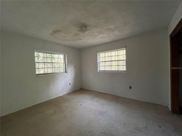 spare room with carpet flooring and a wealth of natural light