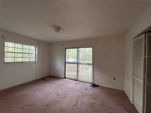 interior space featuring carpet flooring