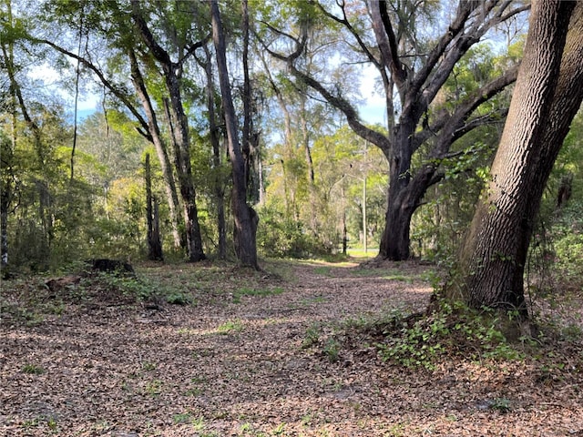 view of nature