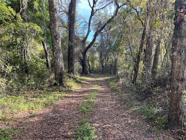 view of nature