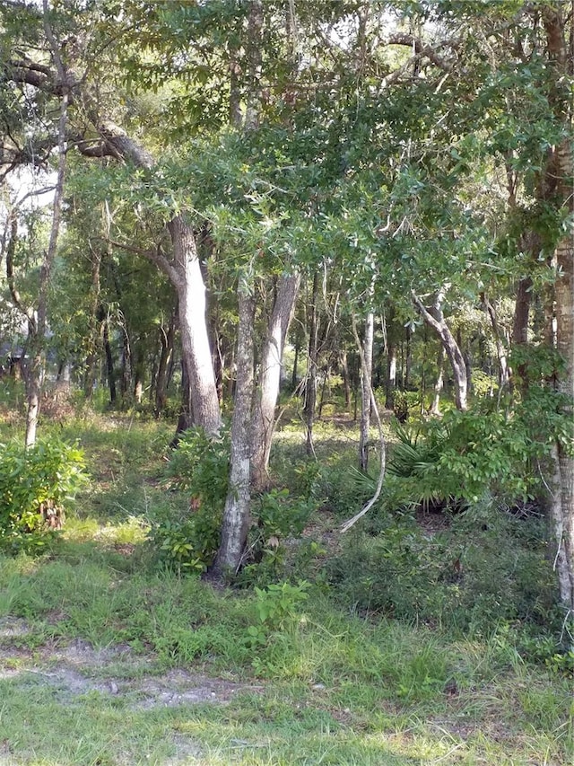 Listing photo 3 for 1 NW 70th Cir, Chiefland FL 32626