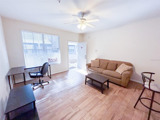 office space with light hardwood / wood-style floors and ceiling fan