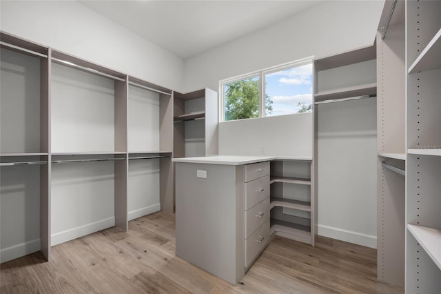 spacious closet with light wood-type flooring