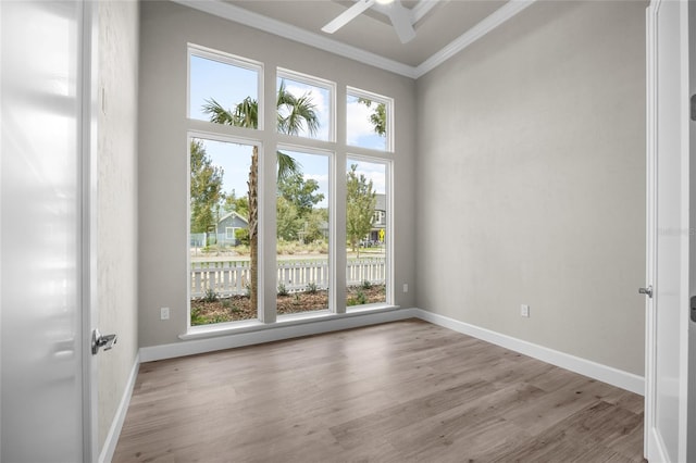 empty room with a wealth of natural light, light hardwood / wood-style flooring, ceiling fan, and ornamental molding