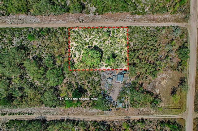 000 NE 68th Pl, Williston FL, 32696 land for sale