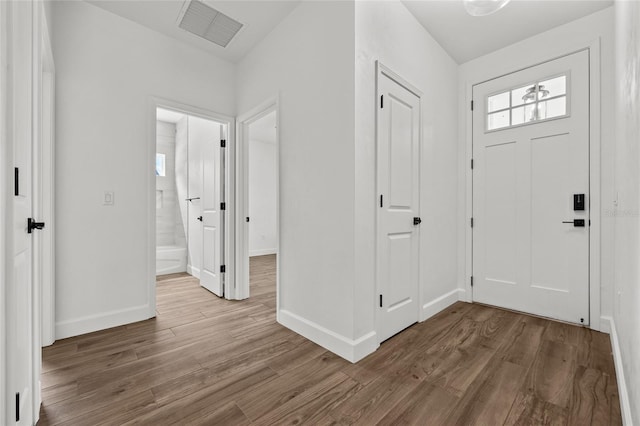 foyer entrance featuring hardwood / wood-style flooring