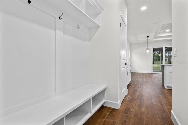 mudroom with a tray ceiling and dark wood-type flooring