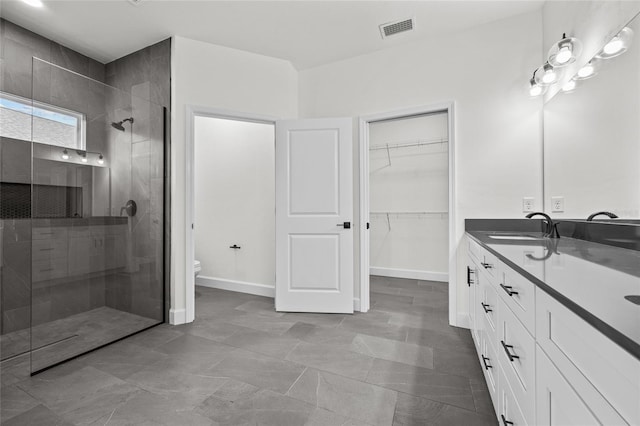 bathroom featuring toilet, vanity, and walk in shower