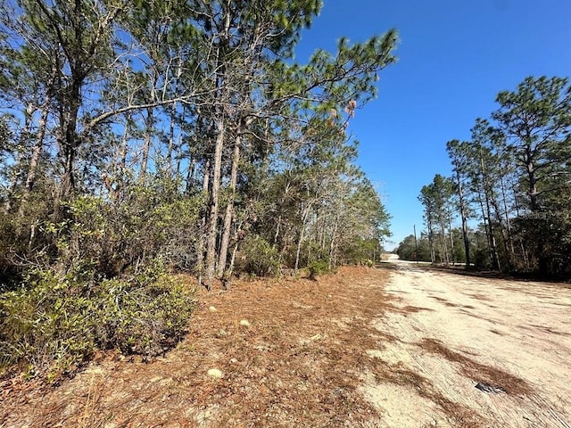 NE 66th Ln, Williston FL, 32696 land for sale