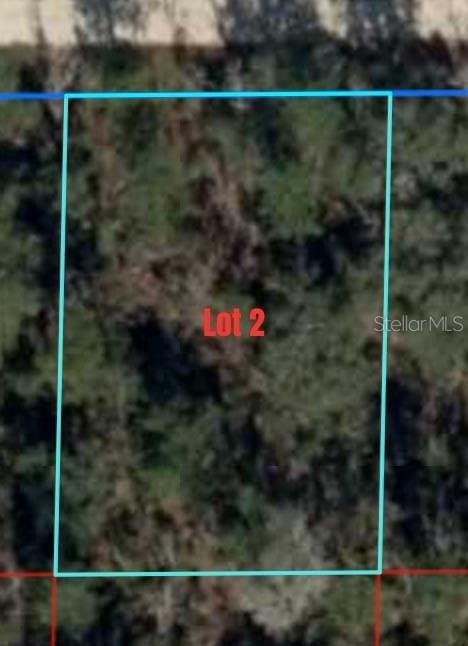 NE 66th Ln, Williston FL, 32696 land for sale