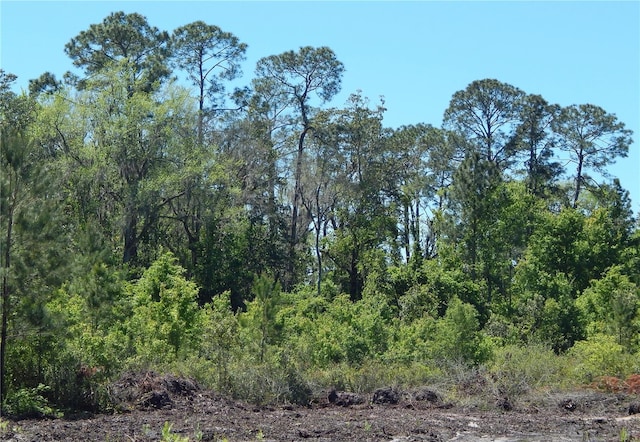 00 NW Union Park Rd, Wellborn FL, 32094 land for sale