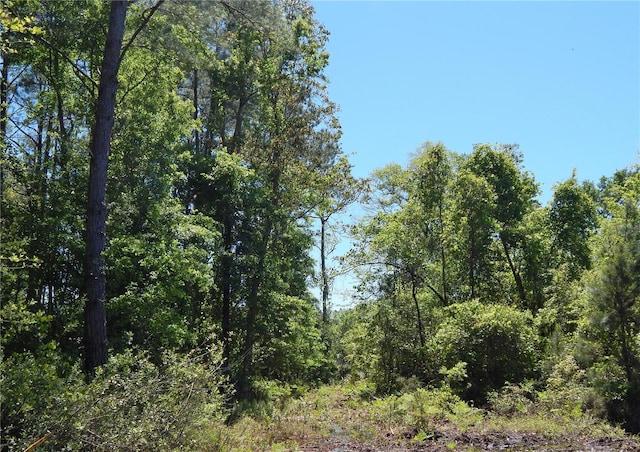 Listing photo 2 for 00 NW Union Park Rd, Wellborn FL 32094