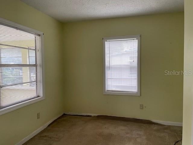 unfurnished room featuring plenty of natural light, carpet floors, and a textured ceiling