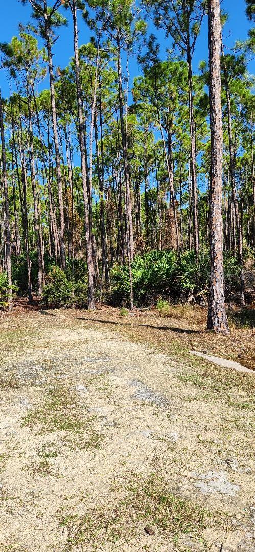 LOT9 SW 104th St, Cedar Key FL, 32625 land for sale