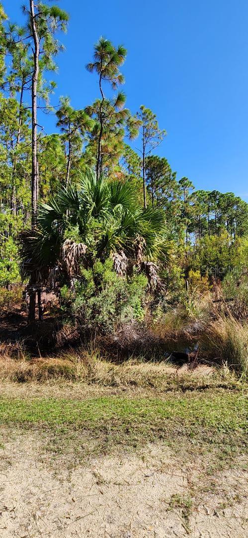 Listing photo 3 for LOT9 SW 104th St, Cedar Key FL 32625