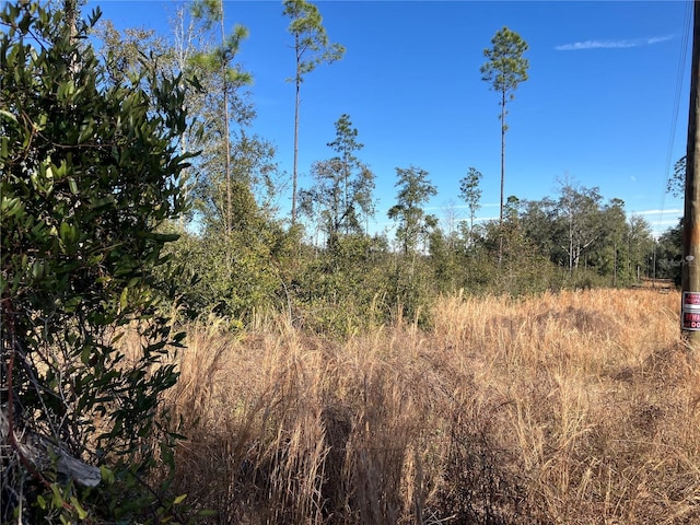 5905 SW 298th St, Newberry, FL 32669 - photo 2