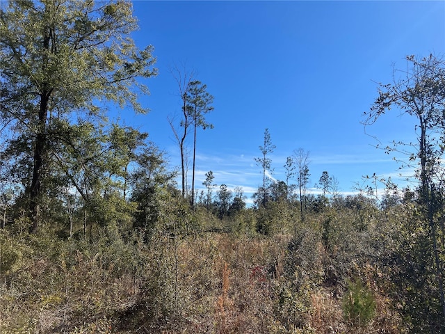 5905 SW 298th St, Newberry, FL 32669 - photo 4