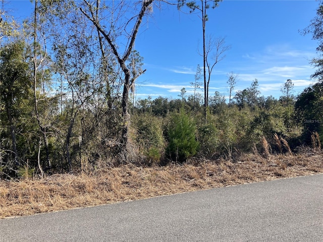 5905 SW 298th St, Newberry, FL 32669 - photo 1