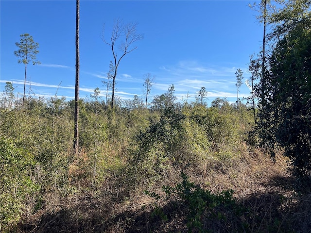 5905 SW 298th St, Newberry, FL 32669 - photo 3