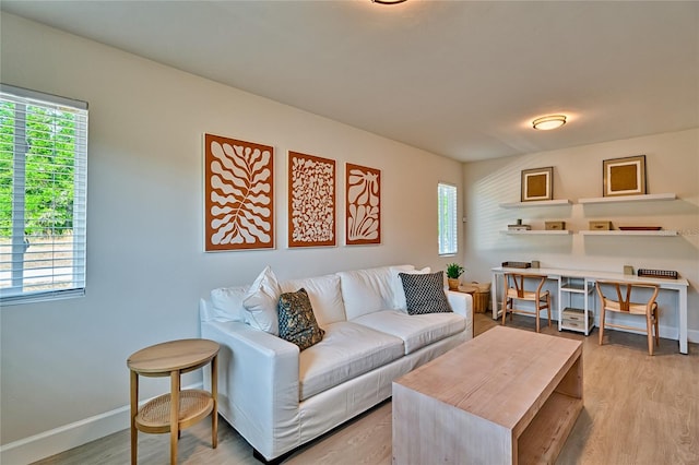 living room with light hardwood / wood-style flooring