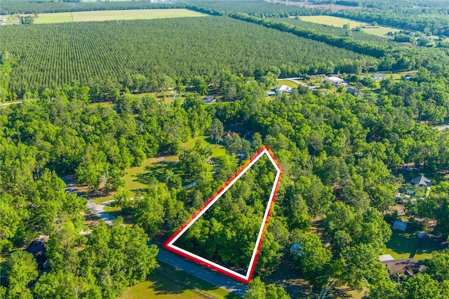 Listing photo 2 for NW Gloriosa Ln, Lee FL 32059