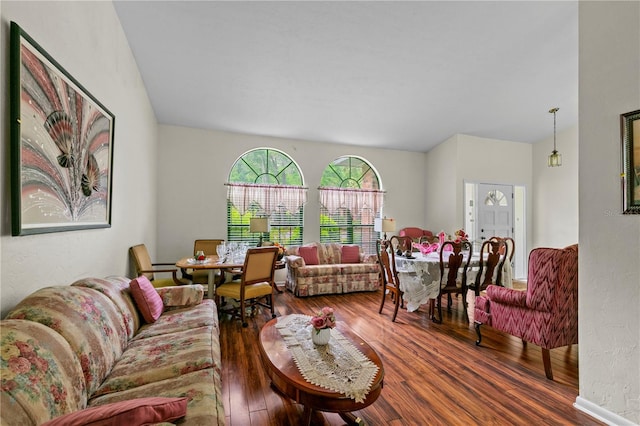 living room featuring dark hardwood / wood-style flooring