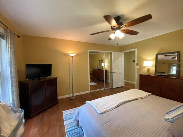 bedroom featuring dark wood-type flooring, ceiling fan, and a closet