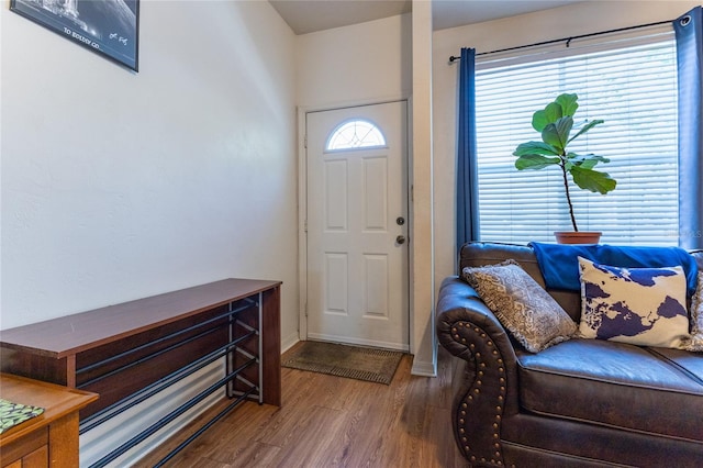 entrance foyer with dark hardwood / wood-style floors