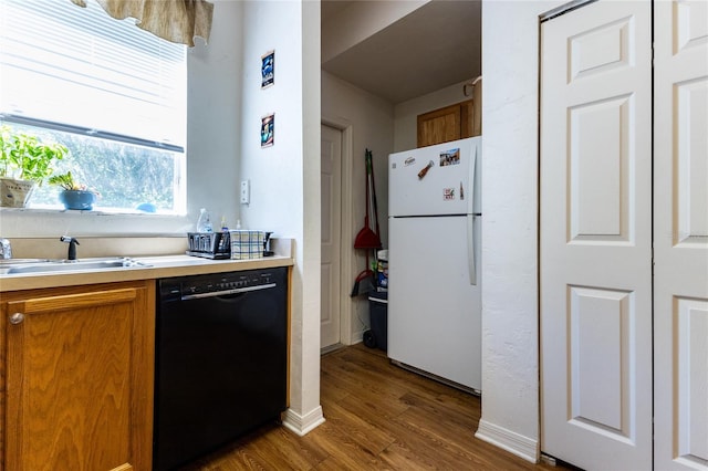 kitchen with sink, hardwood / wood-style floors, white refrigerator, and black dishwasher