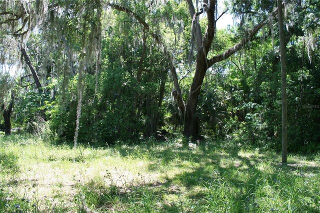21646 NW 58th Ct, Micanopy, FL 32667 - photo 9