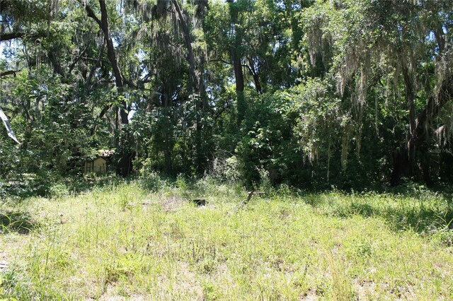 21646 NW 58th Ct, Micanopy, FL 32667 - photo 11