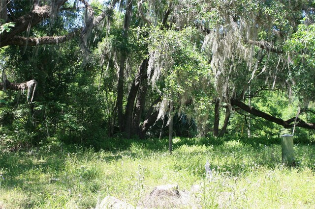 21646 NW 58th Ct, Micanopy, FL 32667 - photo 13