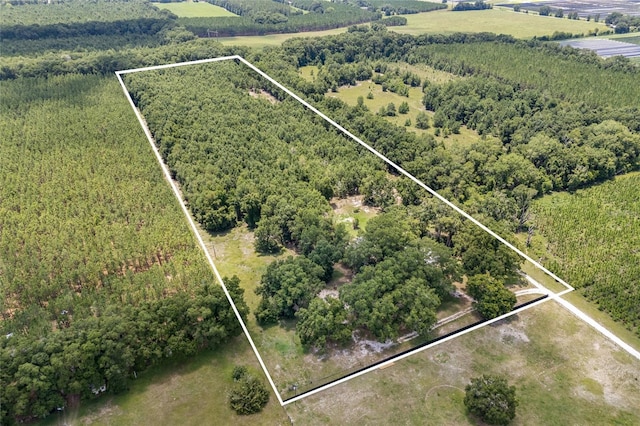 bird's eye view with a rural view